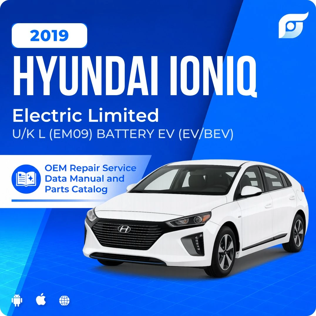 2019 Hyundai Ioniq Electric Limited - OEM Repair Service Manual