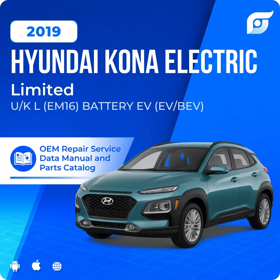 2019 Hyundai Kona Electric Limited - OEM Repair Service Manual