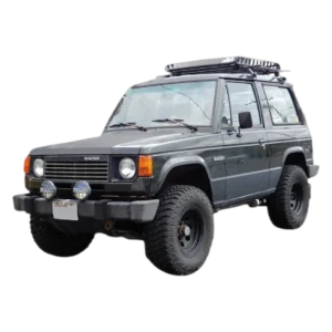 Dodge Raider