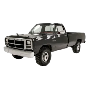 Dodge W100